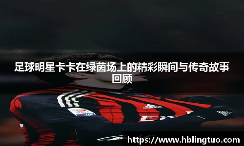 bellbet贝博官方网站